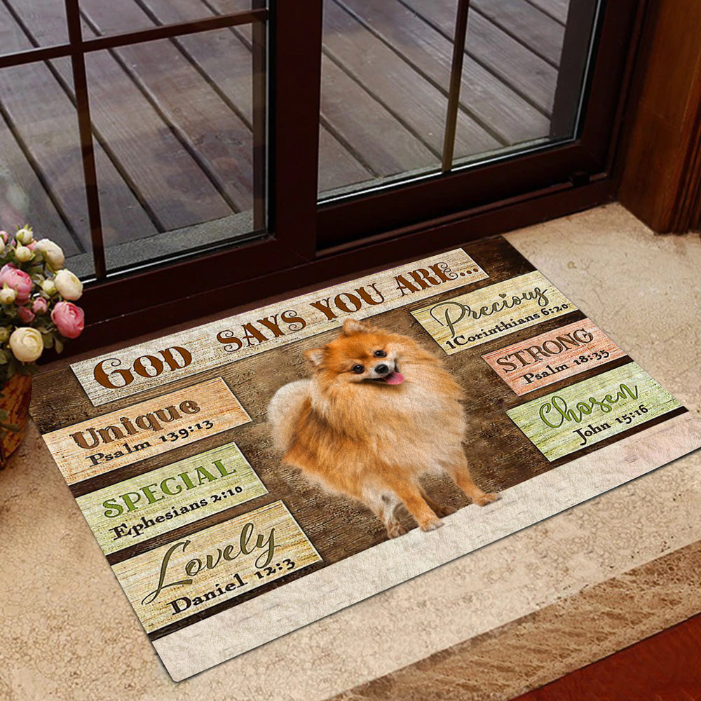 Pomeranian God Says You Are Doormat