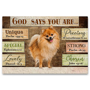 Pomeranian God Says You Are Doormat