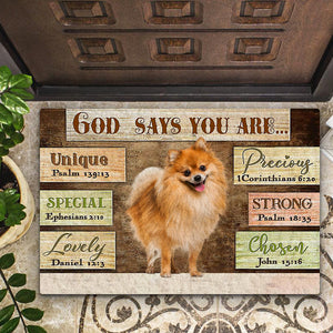 Pomeranian God Says You Are Doormat