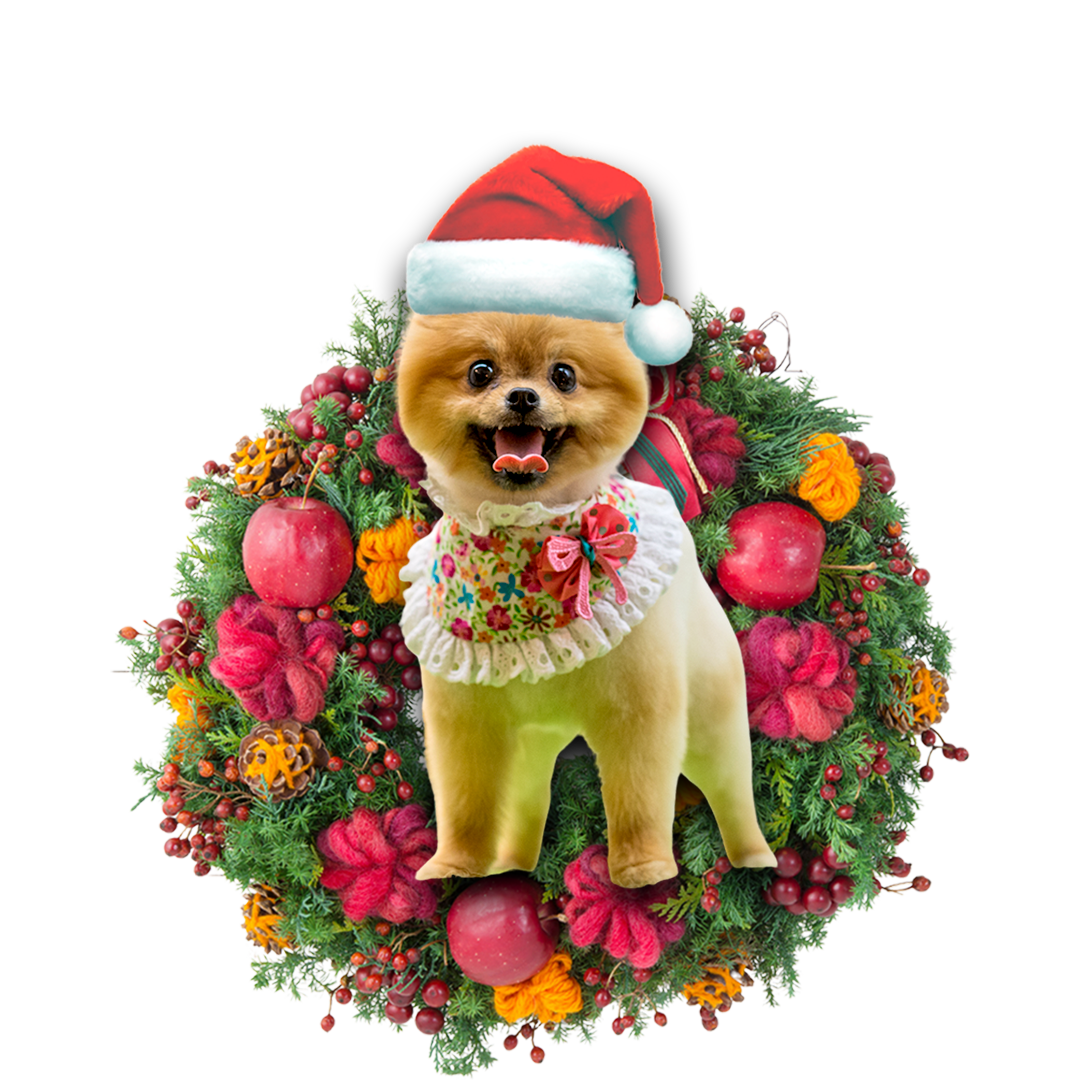 Pomeranian Christmas Ornament