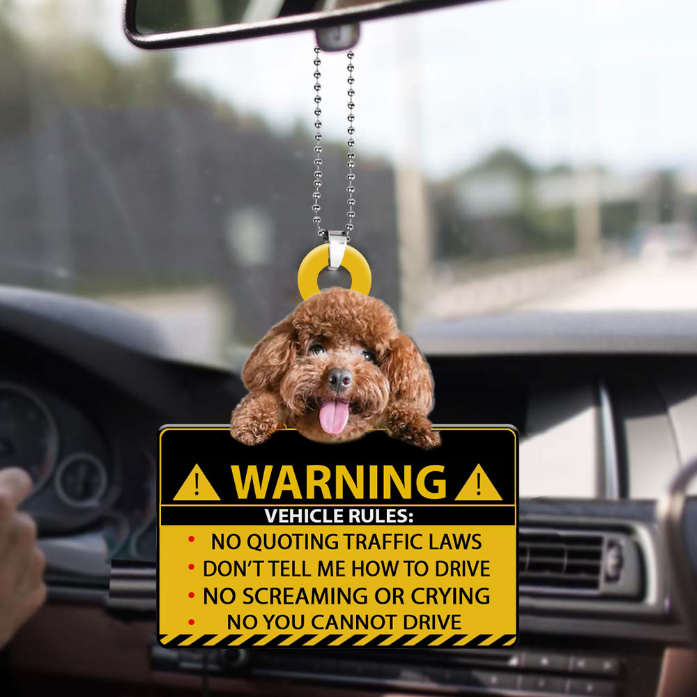 Poodle-Vehicle Rules Two Side Ornament