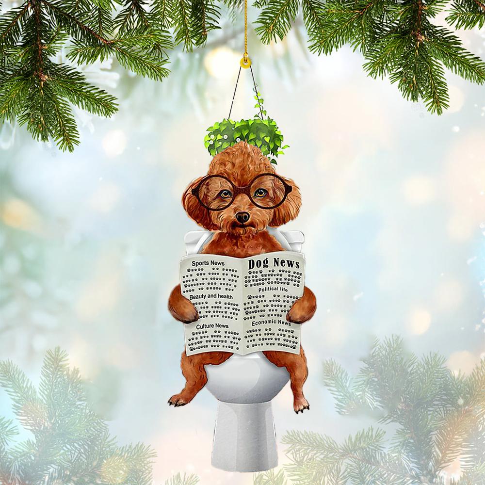 Poodle Sitting On A Toilet-Two Sides Ornament