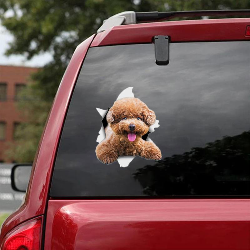 Cute Poodle CRACK CAR STICKER