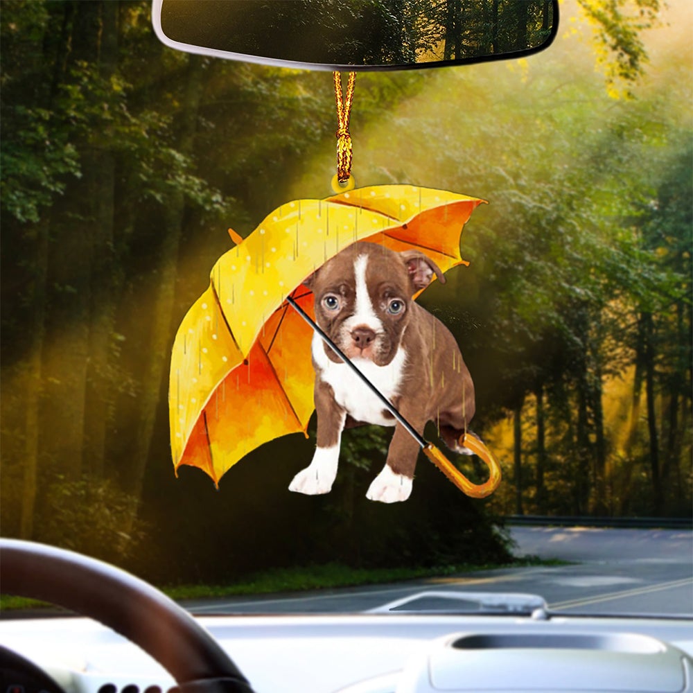 RED Boston Terrier-The Umbrella Two Sides Ornament