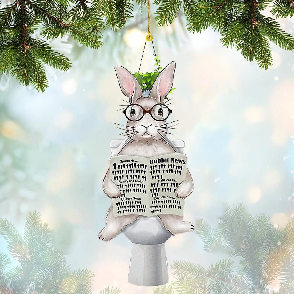 Rabbit Sitting On A Toilet-Two Sides Ornament