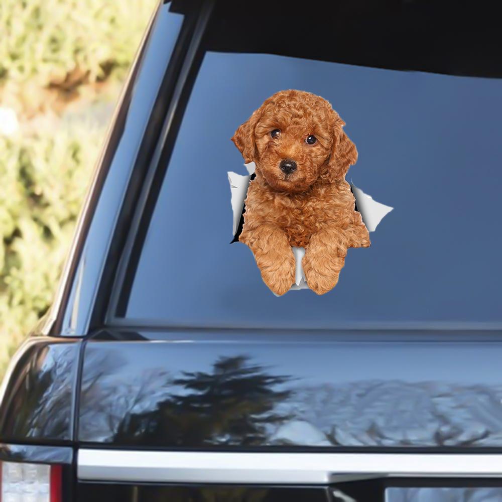 Red Poodle Out Of The Window Decal