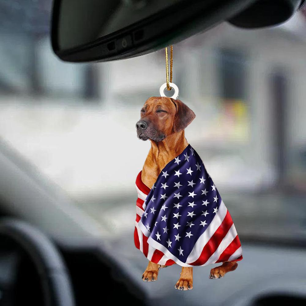 Rhodesian Ridgeback American Patriot Flag Two Sided Ornament