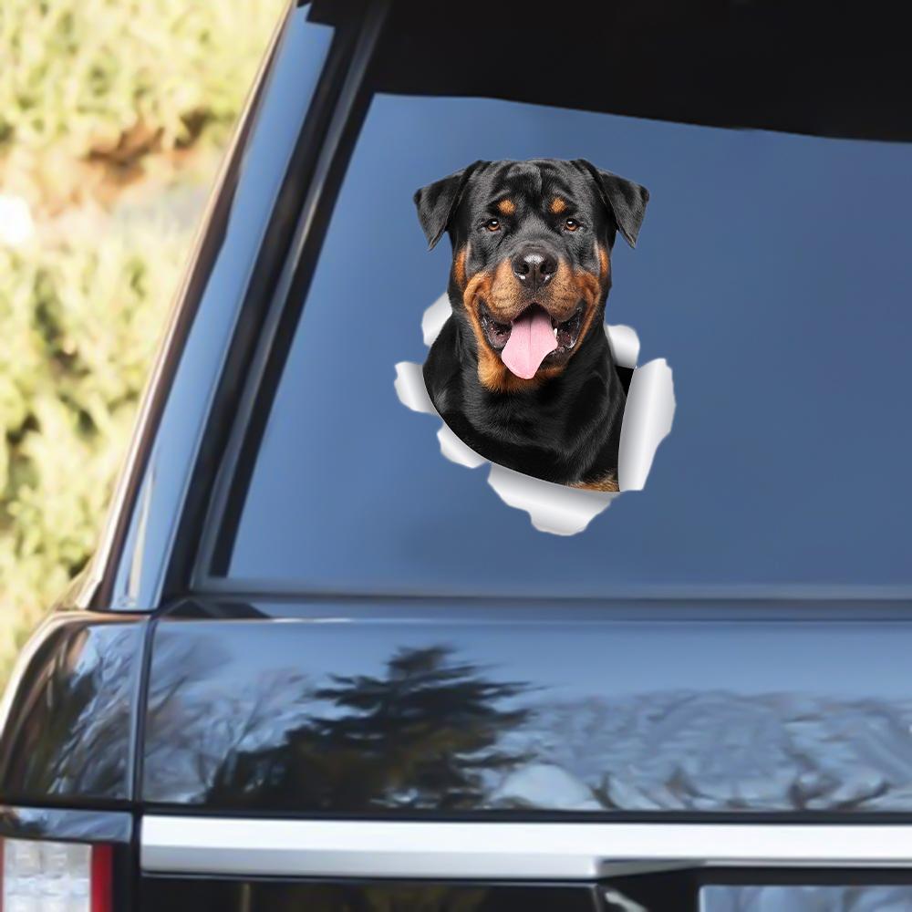 Rottweiler 3 Out Of The Window Decal