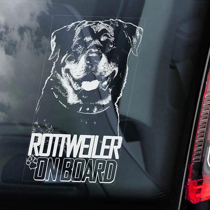 Rottweiler4 on Board-Car Window Sticker-Dog Sign Decal