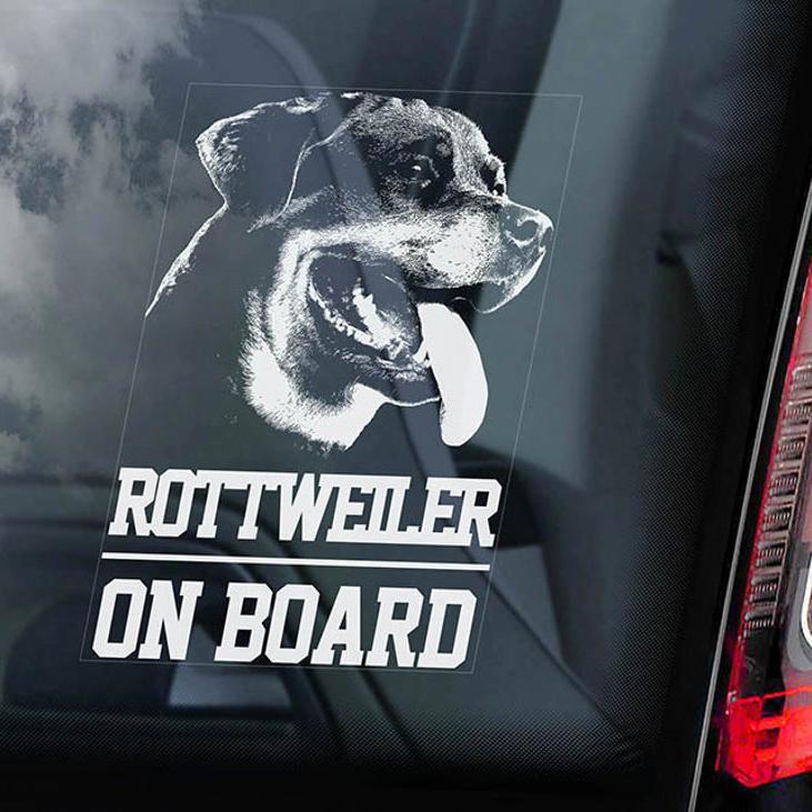 Rottweiler5 on Board-Car Window Sticker-Dog Sign Decal