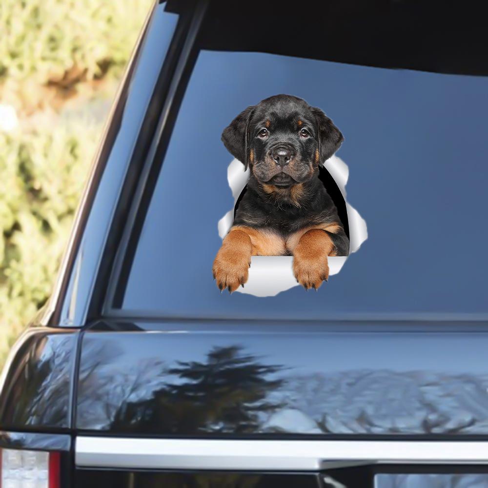 Rottweiler Puppy Out Of The Window Decal