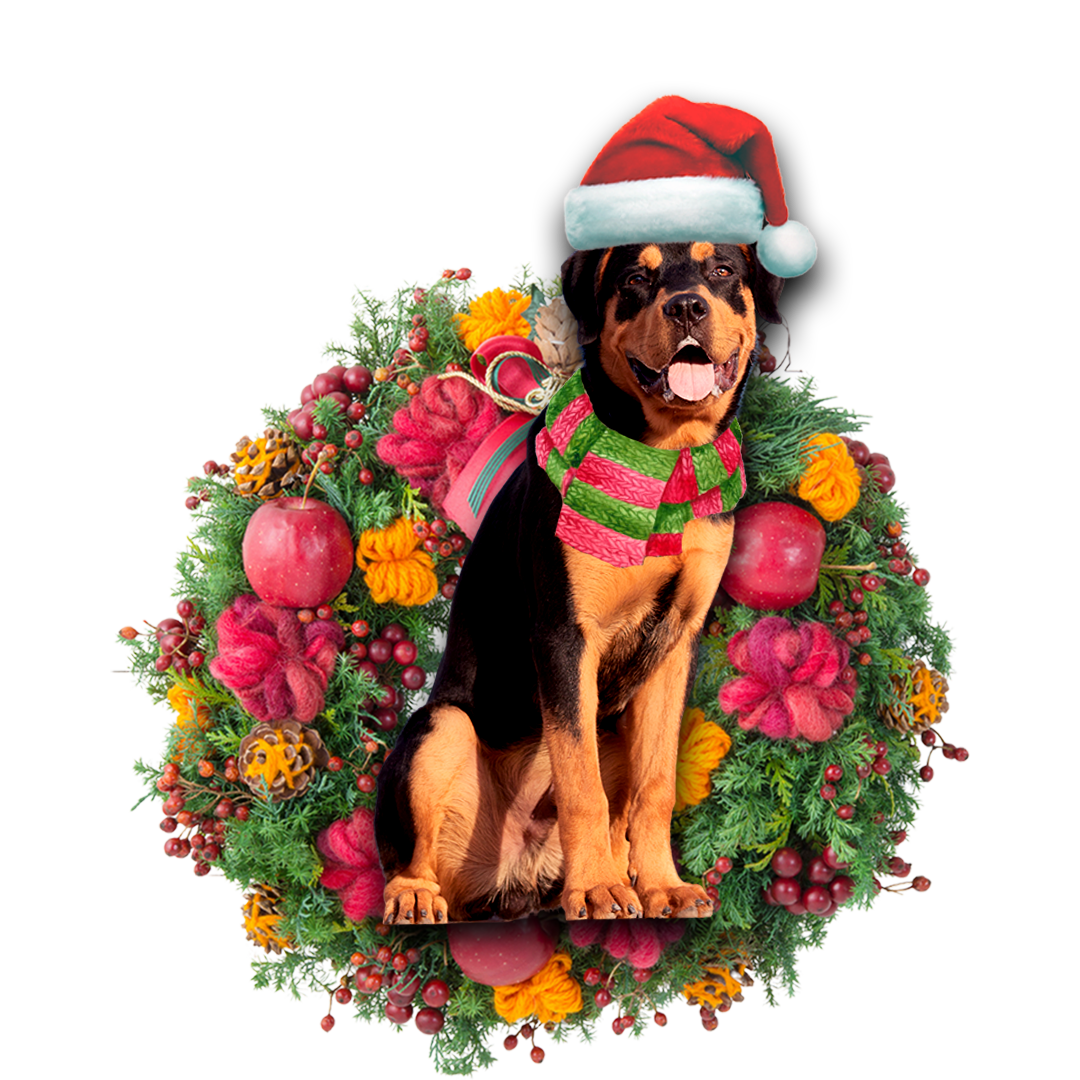 Rottweiler Christmas Ornament