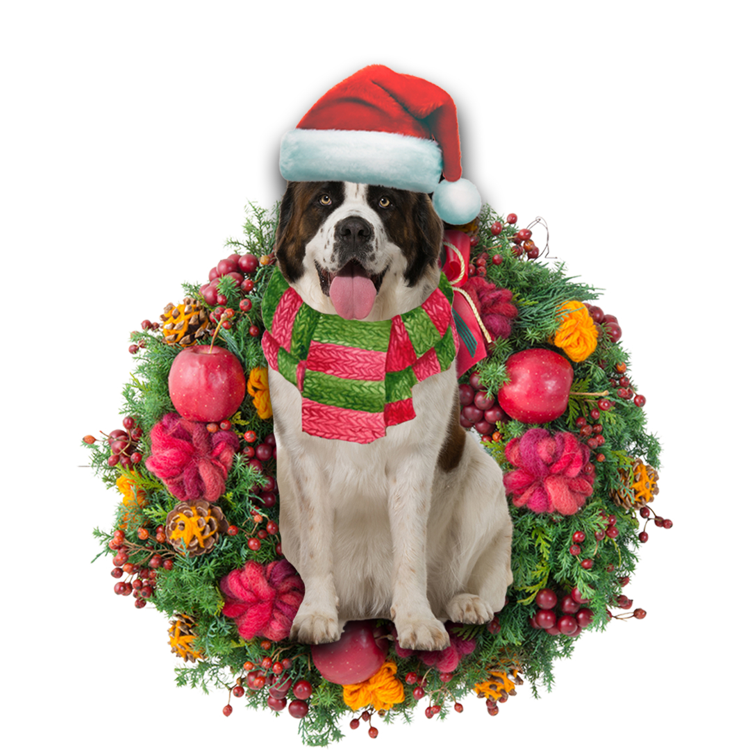 Saint Bernard Christmas Ornament