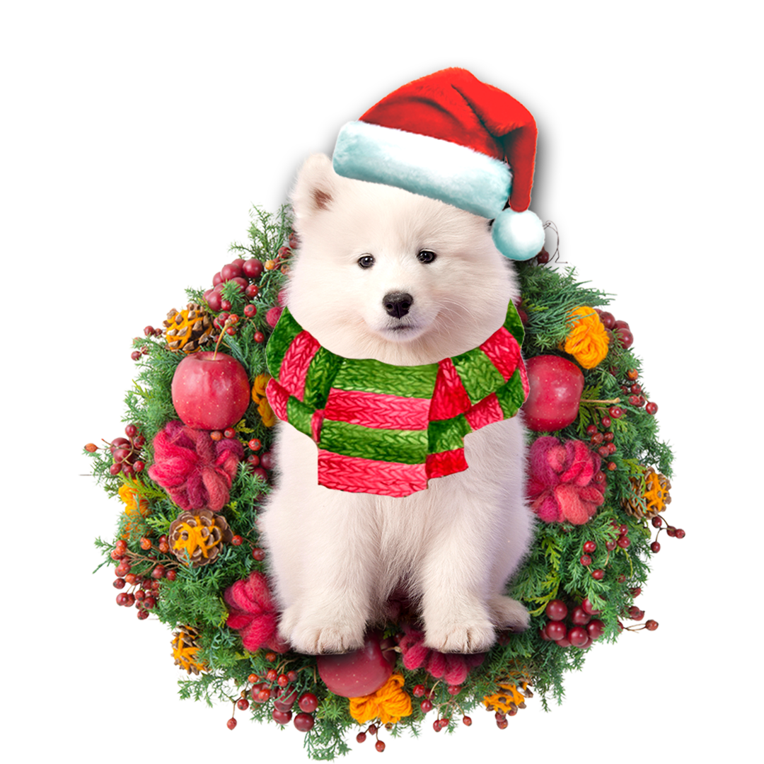 Samoyed Christmas Ornament