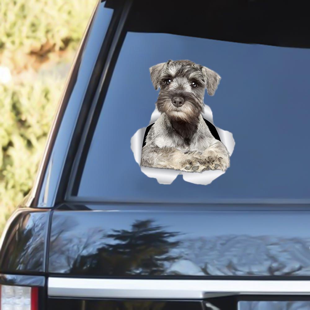 Schnauzer 2 Out Of The Window Decal