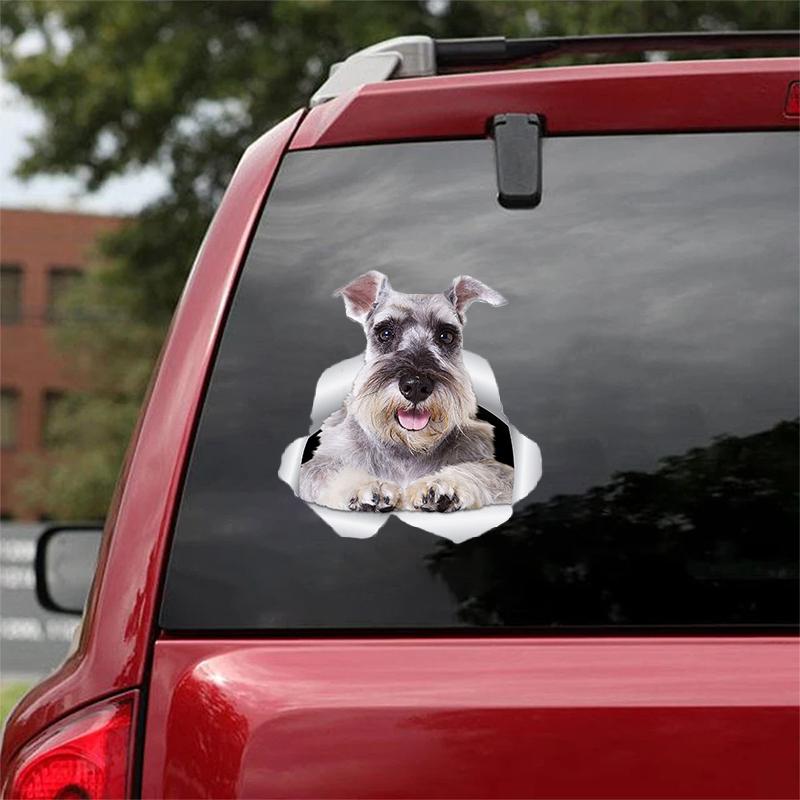 Cute Schnauzer 2 CRACK CAR STICKER