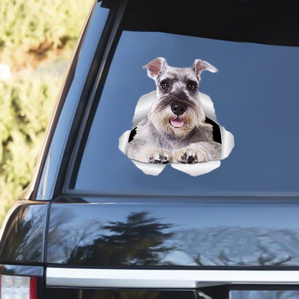 Schnauzer 3 Out Of The Window Decal