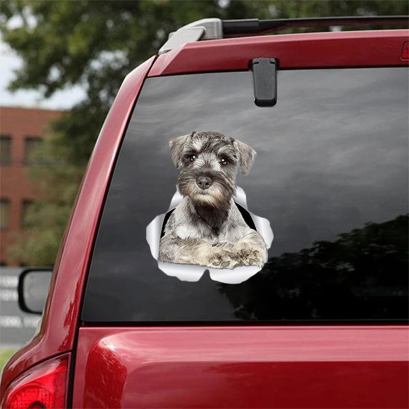 Cute Schnauzer 4 CRACK CAR STICKER
