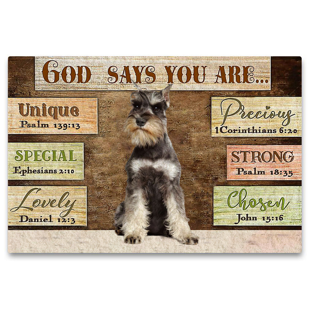 Schnauzer  (3) God Says You Are Doormat