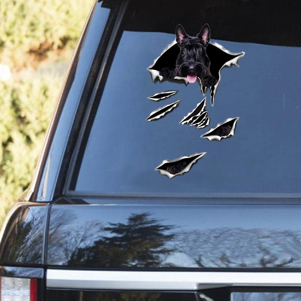 Scottish Terrier Scratch Decal