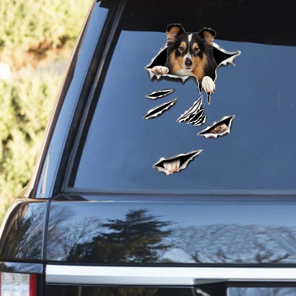 Shetland Sheepdog Scratch Decal