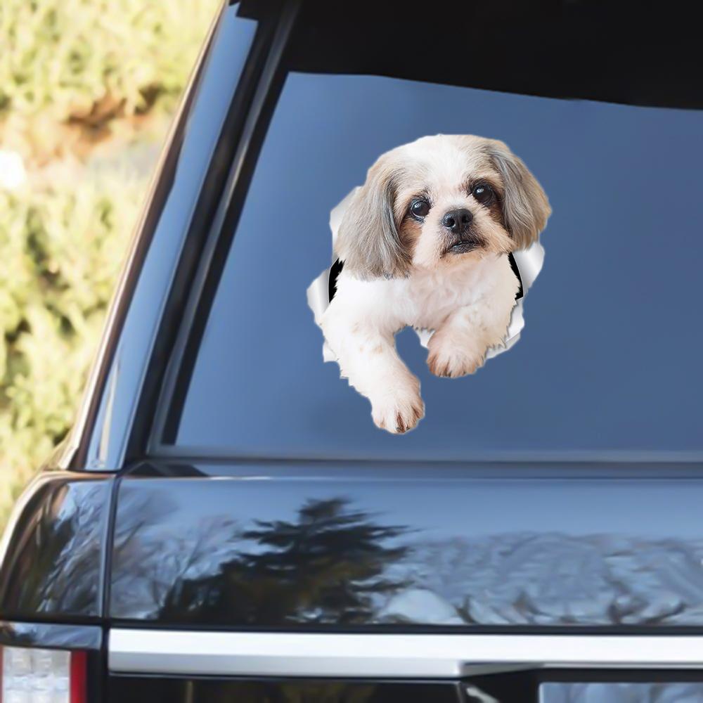 Shih Tzu Out Of The Window Decal