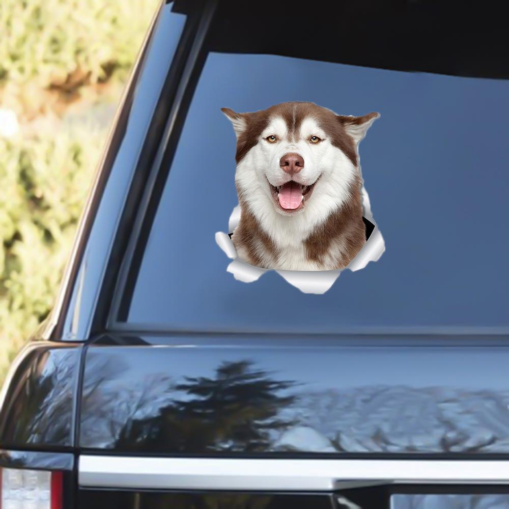 Siberian Husky Out Of The Window Decal