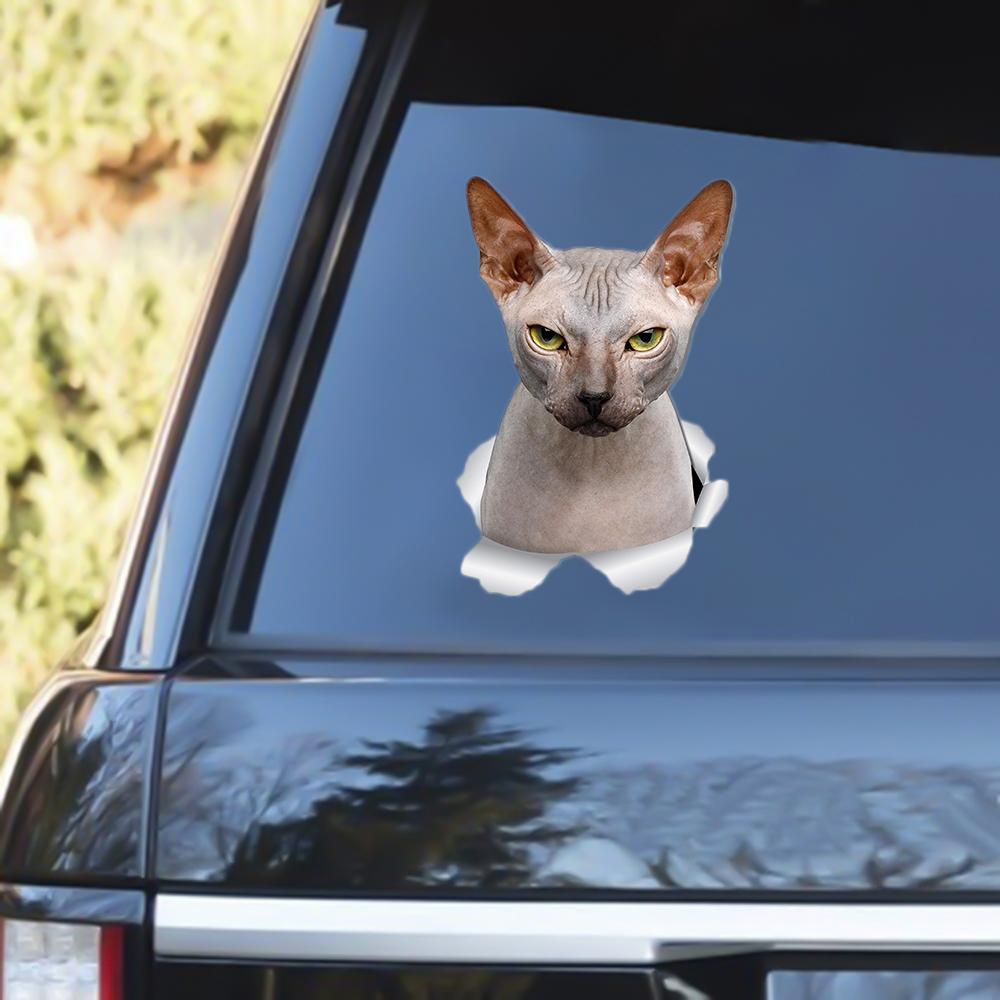 Sphynx Cat Out Of The Window Decal