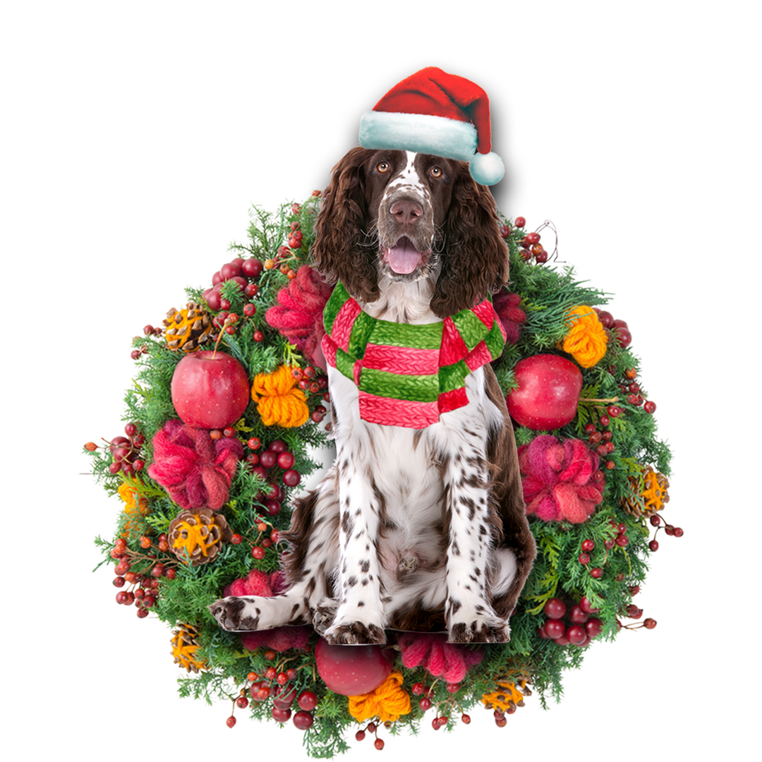 Springer Spaniel Christmas Ornament