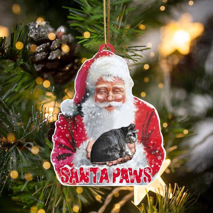 Standard Schnauzer-Santa Paws-Two Sided Ornament