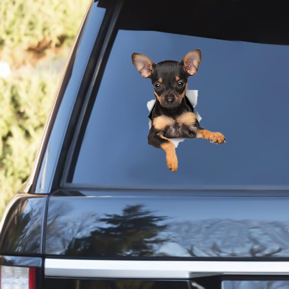 Toy Terrier Puppy Out Of The Window Decal