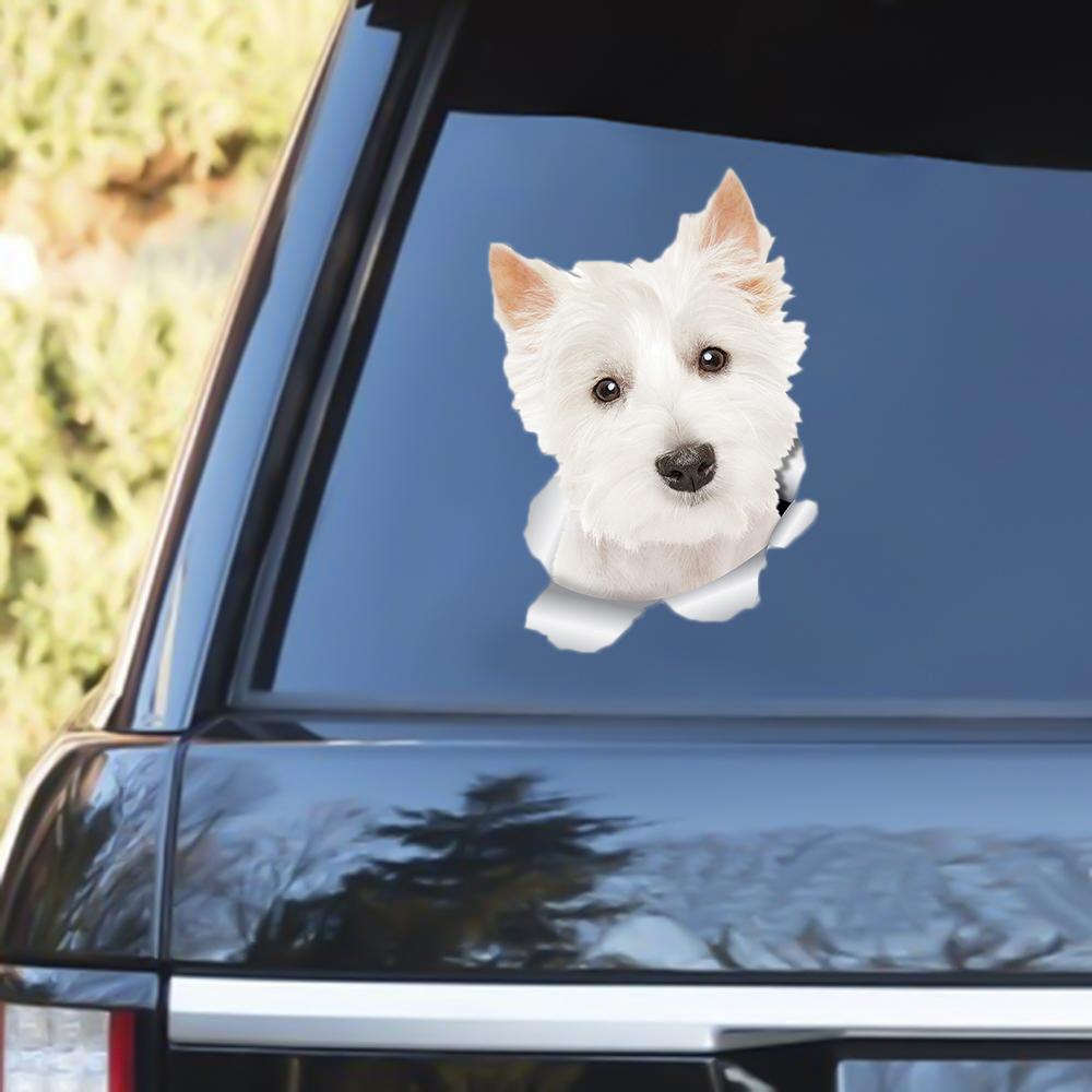 Westie Out Of The Window Decal