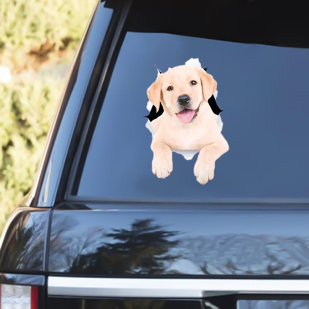 White Labrador Out Of The Window Decal