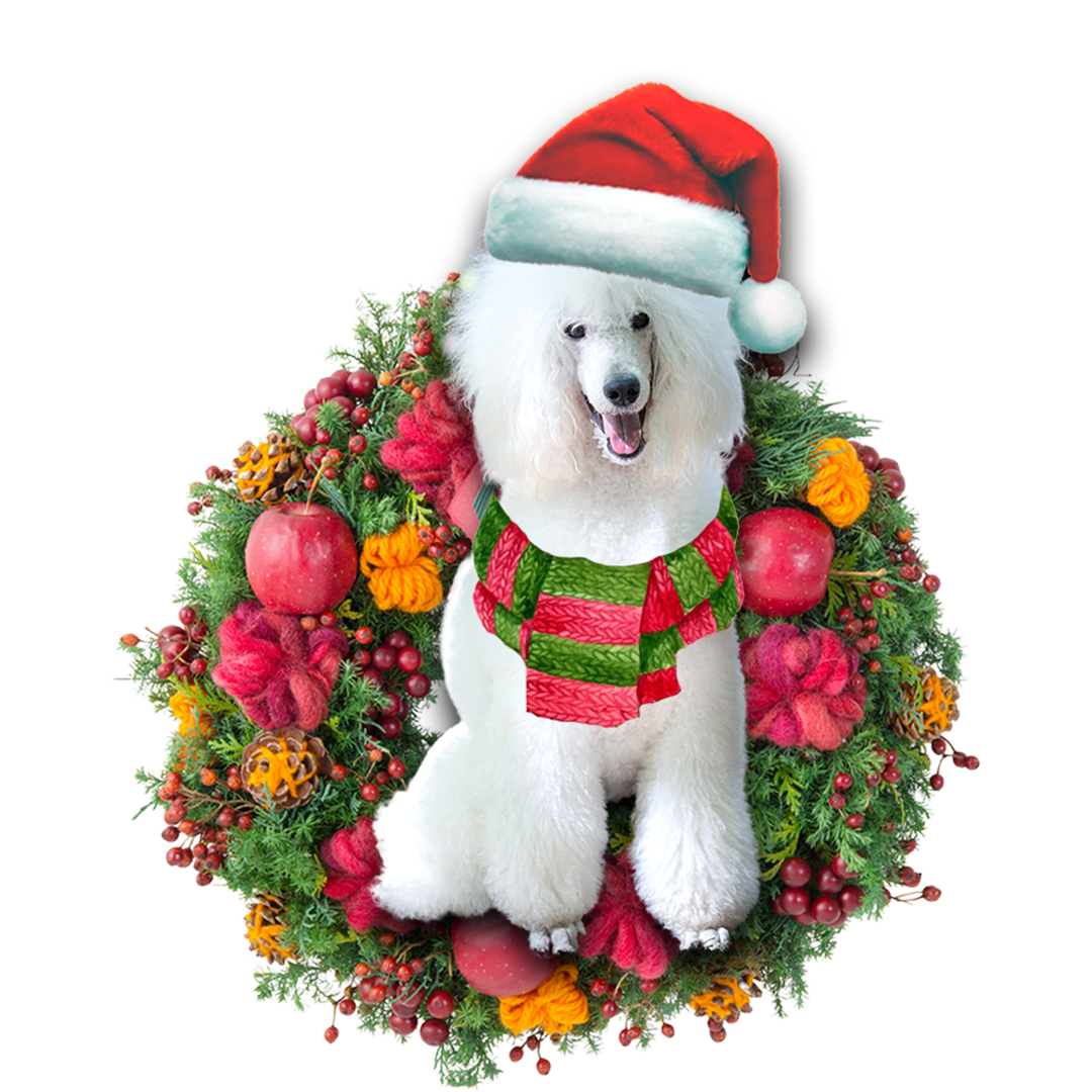 White Poodle Christmas Ornament