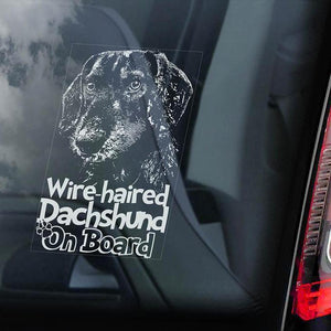 Wire Haired Dachshund on Board-Car Window Sticker-Dog Sign Decal