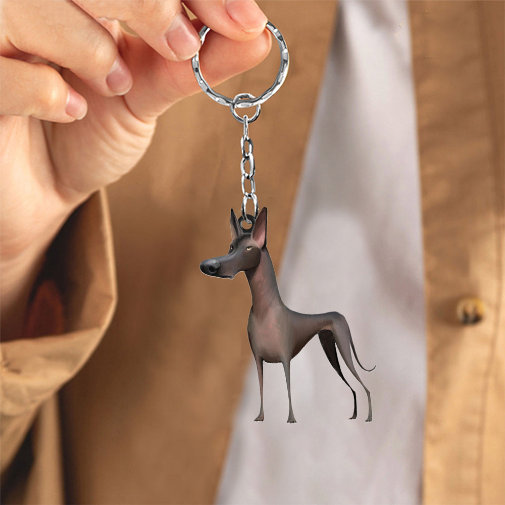 Xolo-Look at me flat Acrylic Keychain