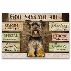 Yorkie God Says You Are Doormat