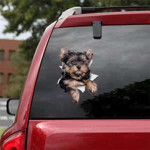 Cute Yorkshire Terrier CAR STICKER