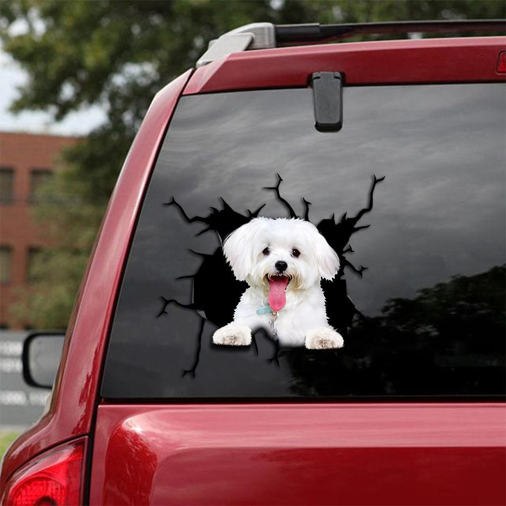 Maltese Crack Car Sticker, Toilet Sticker, Fridge Sticker 22