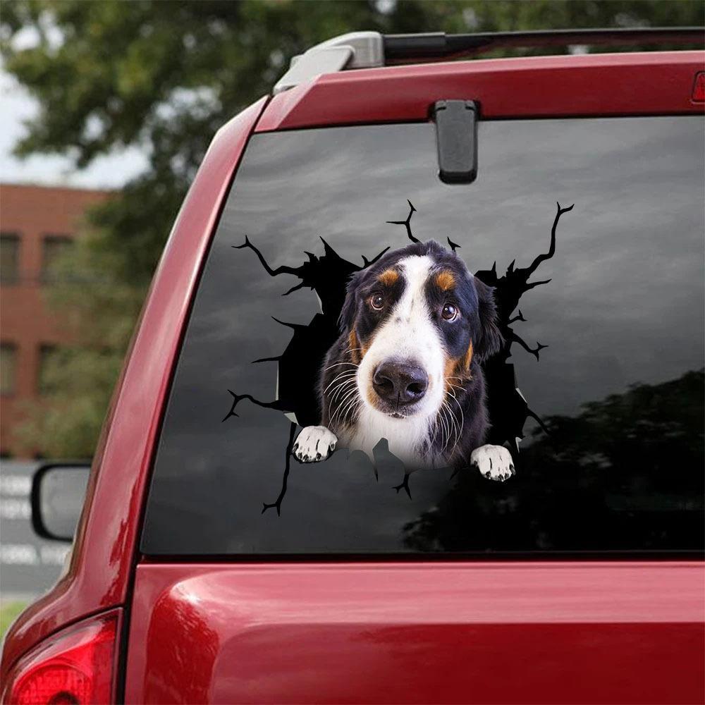 Bernese Mountain Crack Car Sticker, Toilet Sticker, Fridge Sticker 7