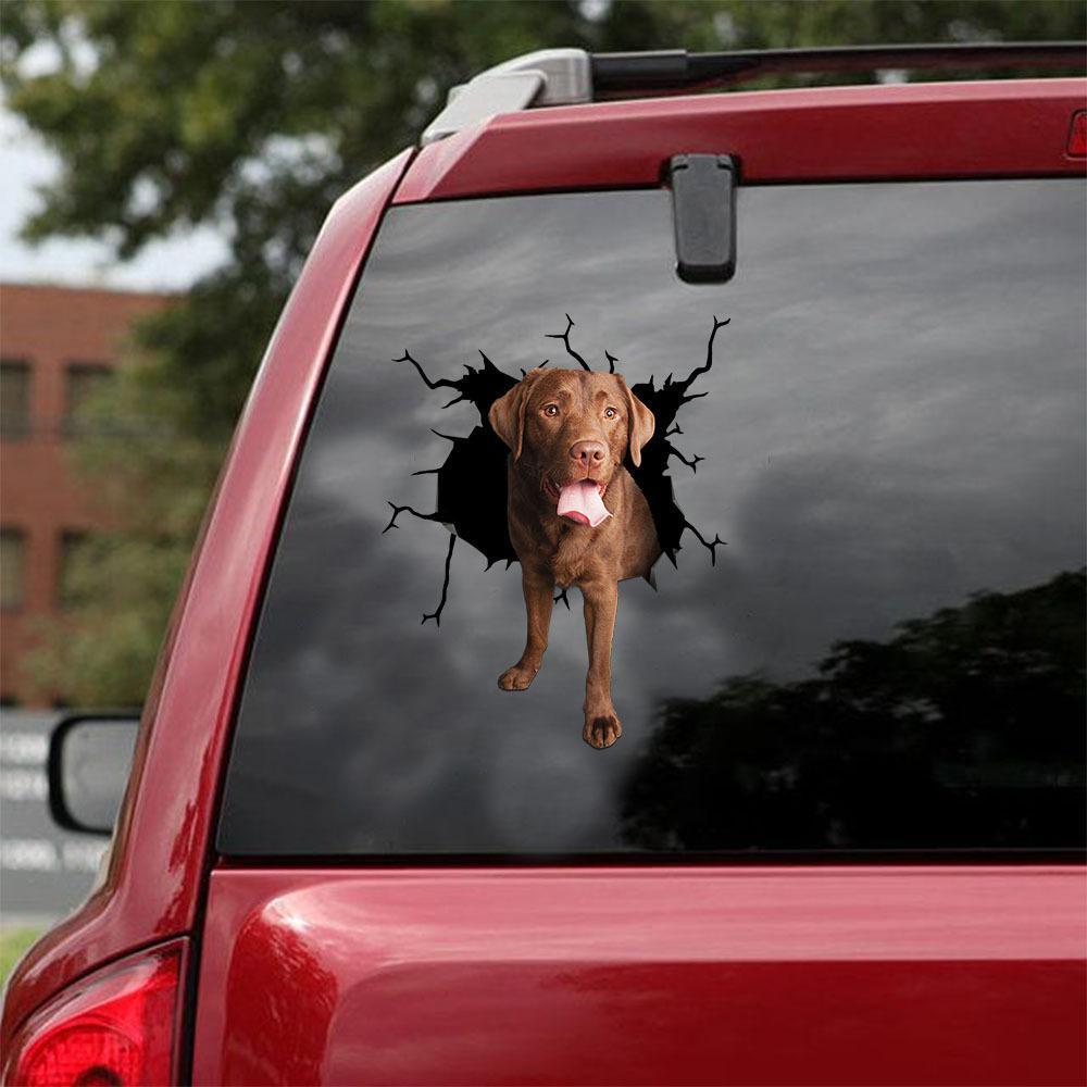 Chocolate Labrador Retriever Crack Car Sticker, Toilet Sticker, Fridge Sticker 2