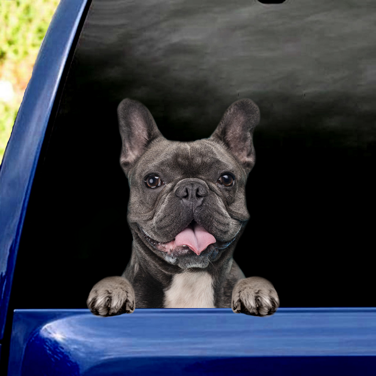 French Bulldog Crack Car Sticker, Toilet Sticker, Fridge Sticker (38)