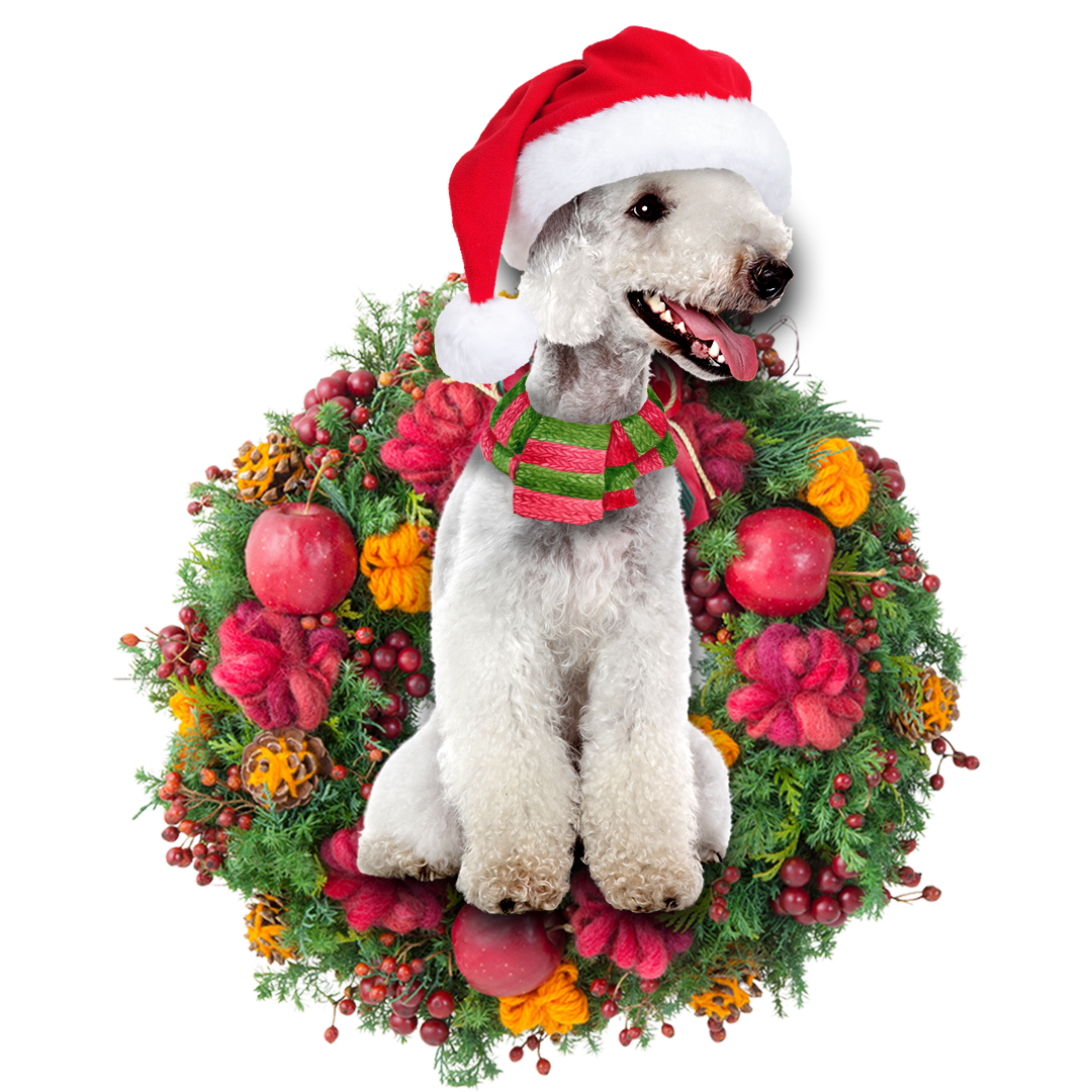 Bedlington Christmas Ornament