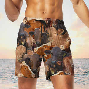 beefmaster  Herd Shorts