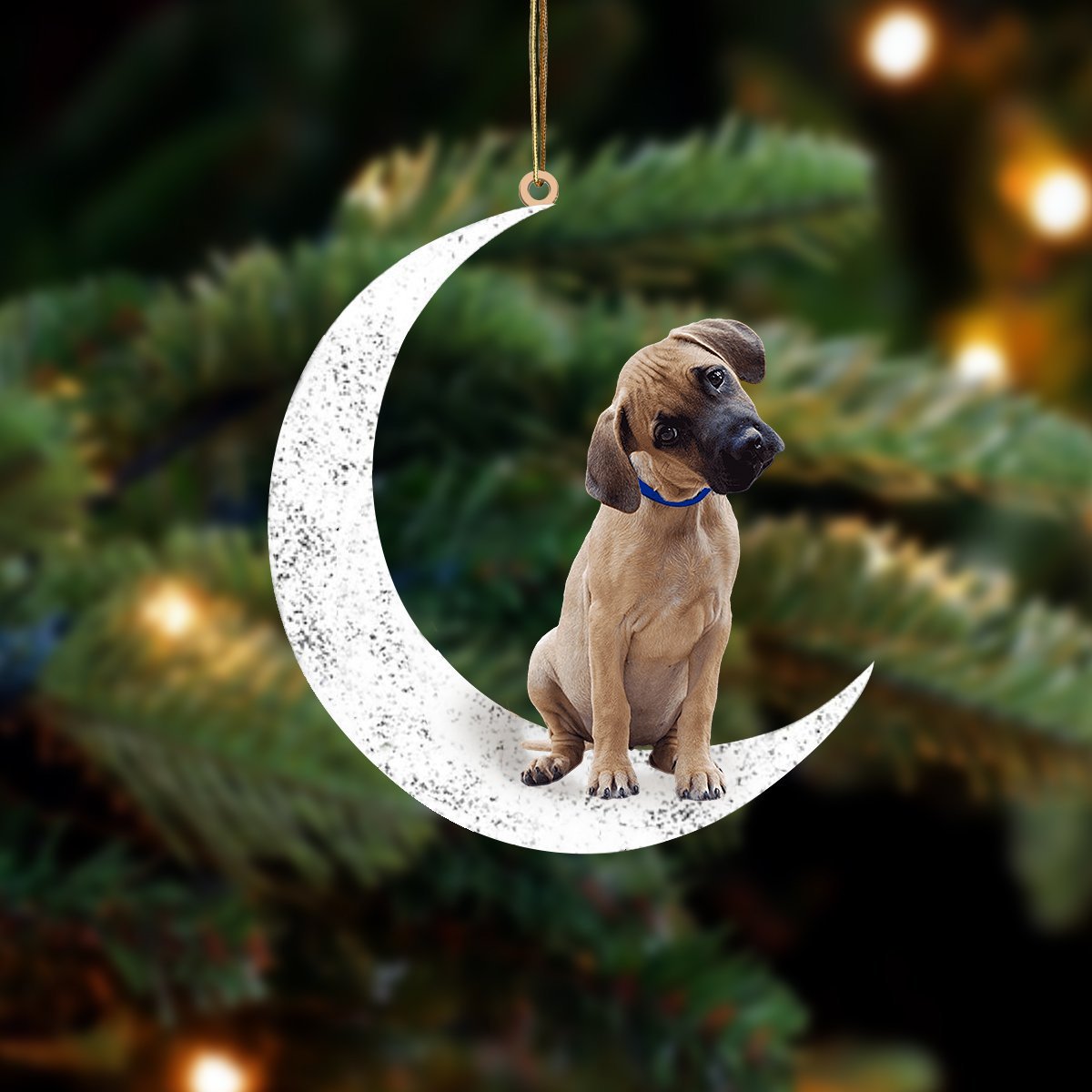 Black Mouth Cur-Sit On The Moon-Two Sided Ornament