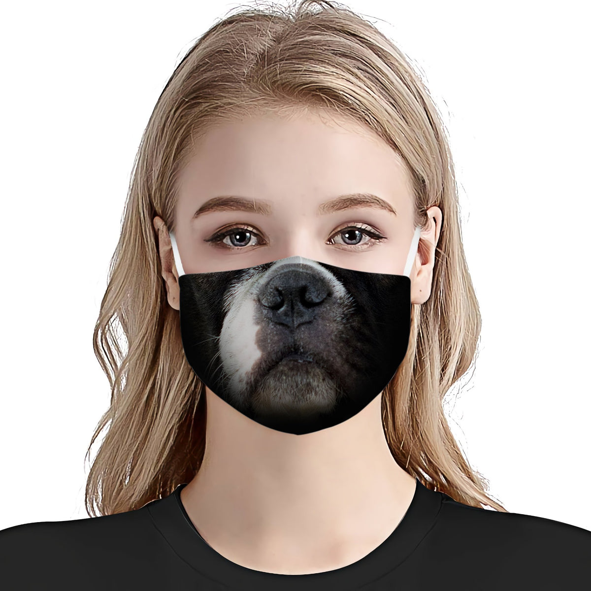 Boston Terrier Face EZ01 Face Mask