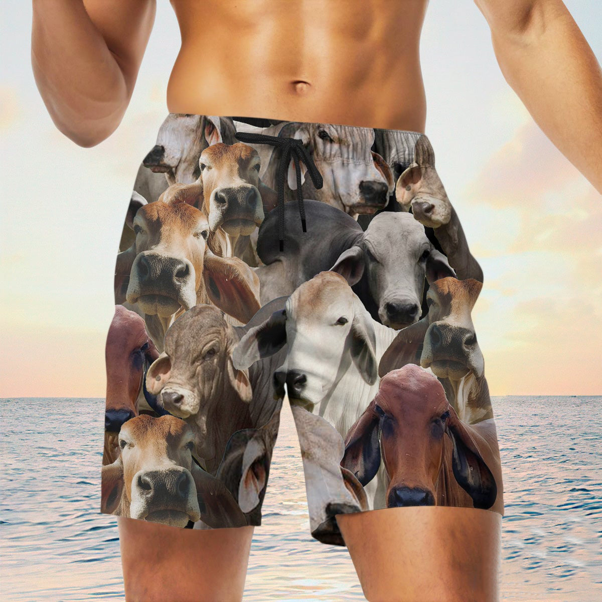 brahman  Herd Shorts