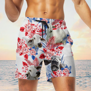 brahman cow In American Flag Pattern Shorts