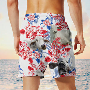 brahman cow In American Flag Pattern Shorts