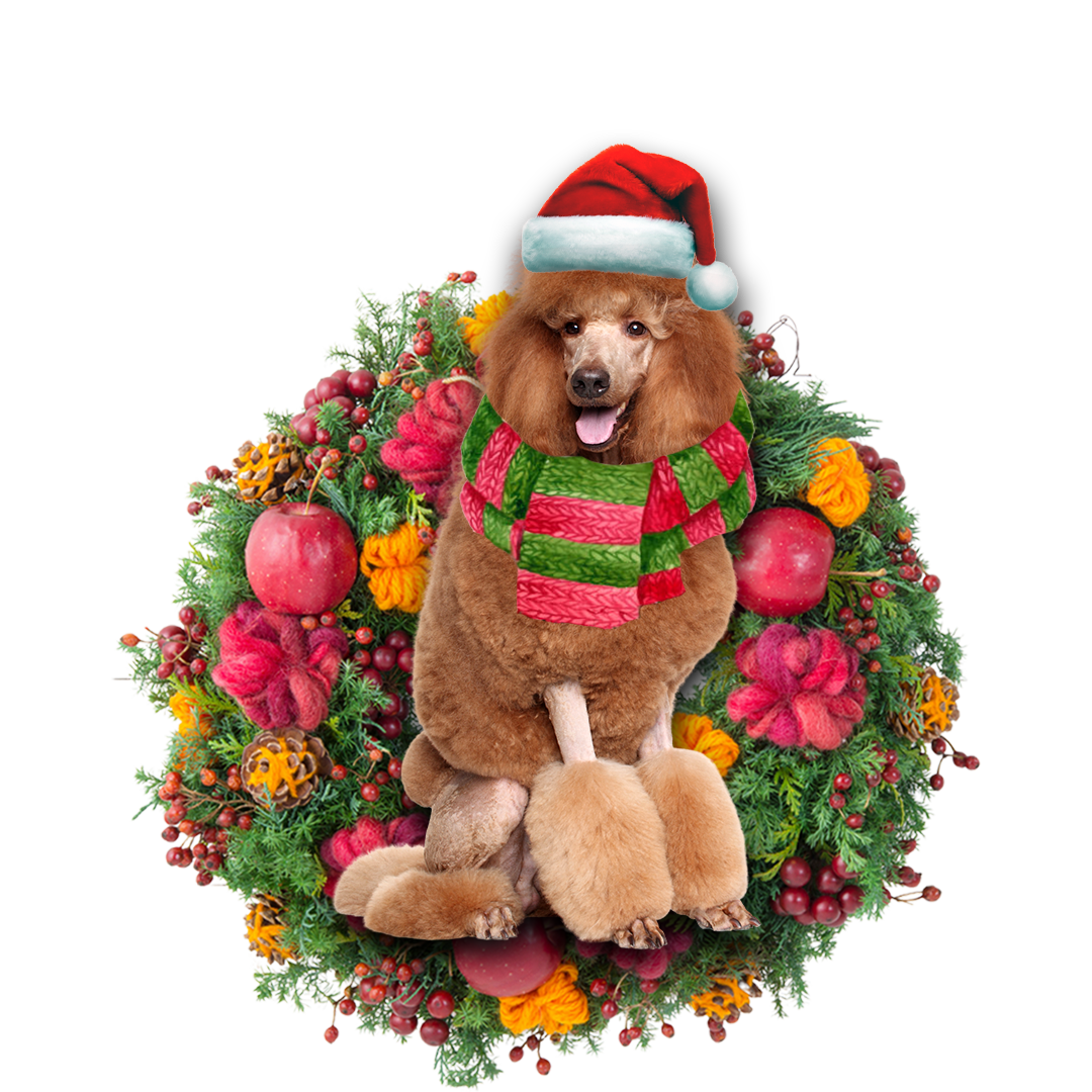 Brown Poodle Christmas Ornament